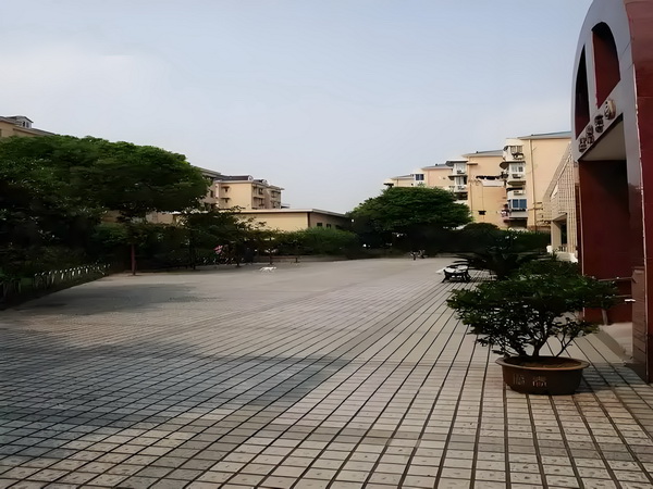 错惹恶少之契约娇妻